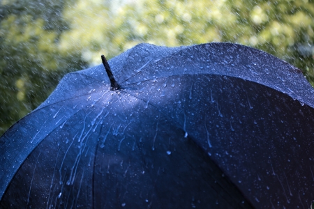 umbrella