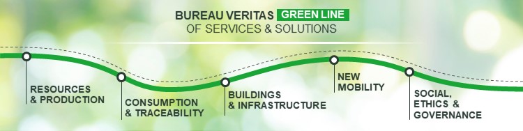 BV Green Line Ressources and Production Pillar