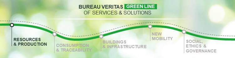 BV Green Line Ressources and Production Pillar